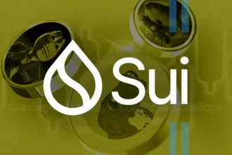 Sui Network Integrates Cross-Chain Transfer Protocol for USDC