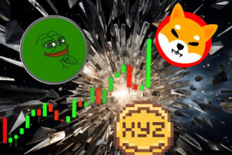 This New Polygon Meme Coin Could Leave SHIB and PEPE Behind With a Massive 16,900% Rally!