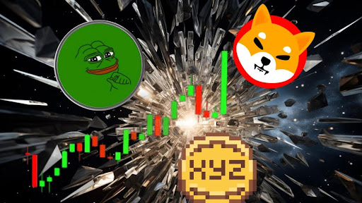 This New Polygon Meme Coin Could Leave SHIB and PEPE Behind With a Massive 16,900% Rally!