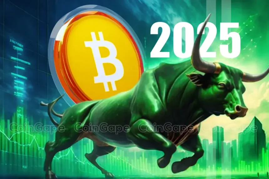 Top Reasons Why Bitcoin Price Will Skyrocket In January 2025