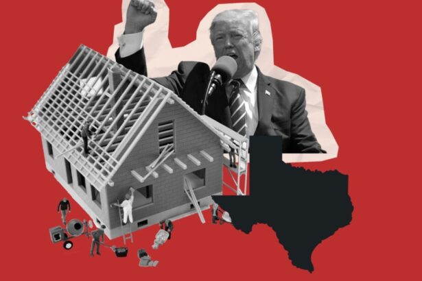 Trump’s mass deportation plan could be ‘devastating’ to housing