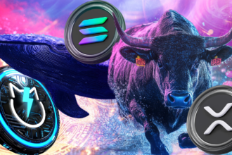 Whale Strategies Exposed: Buying JetBolt, Solana, and XRP in the Bull Run