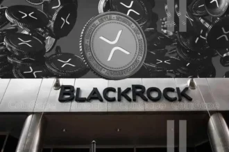 What BlackRock Reveals About Real XRP ETF Plans?