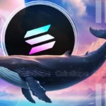 Will Solana Price Recover as Whales Accumulate $1.7M SOL?