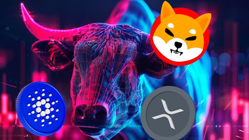 XRP and Cardano Surge This Cycle—Do Their Gains Reflect Previous Bull Run Moves? Who Will Be This Phase’s Shiba Inu?