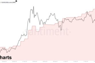 XRP Holds Key Demand Level – Whale Activity Suggests Strength