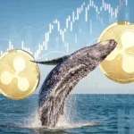 XRP News: Ripple Whales’ Massive Buying Hints At Rally To $3