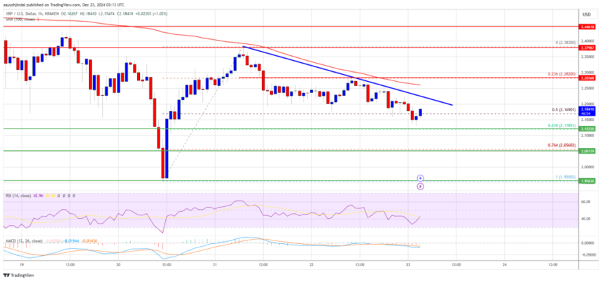 XRP Price at Risk: Can Support Levels Hold?