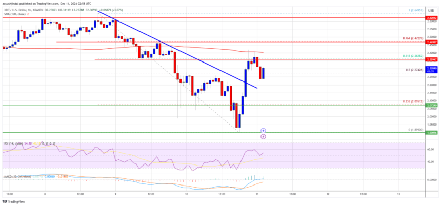 XRP Price Climbs Back: Is This The Start of a Bigger Move?