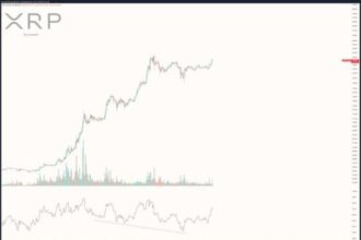 XRP Price Ready To Run To $11 ATH? Alternative Larger Metrics Show The Answer