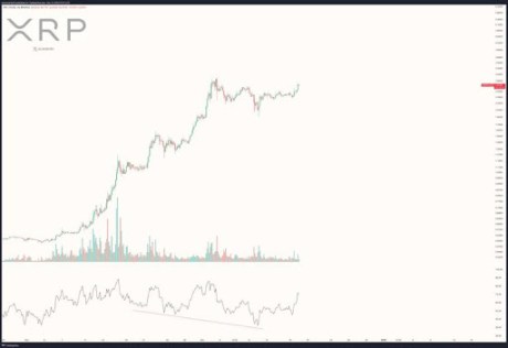 XRP Price Ready To Run To $11 ATH? Alternative Larger Metrics Show The Answer