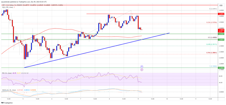 XRP Price Shows Resilience: Holding Strong and Eyes Another Surge