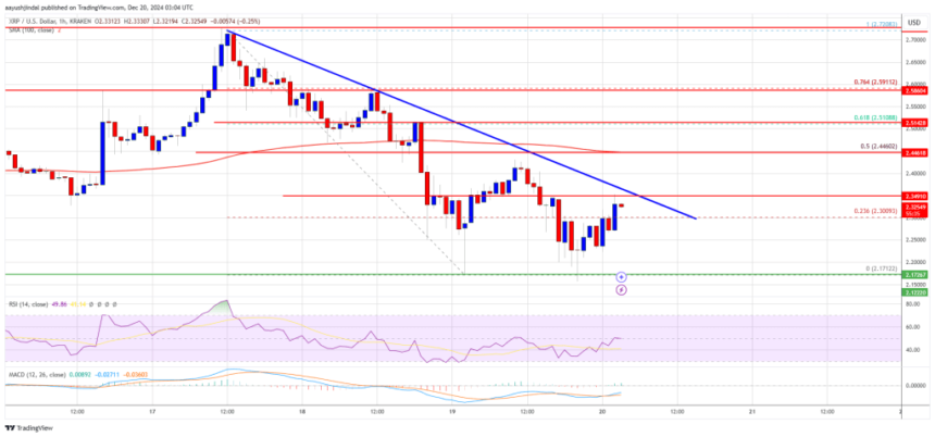 XRP Price Shows Resilience While BTC Sinks Deeper