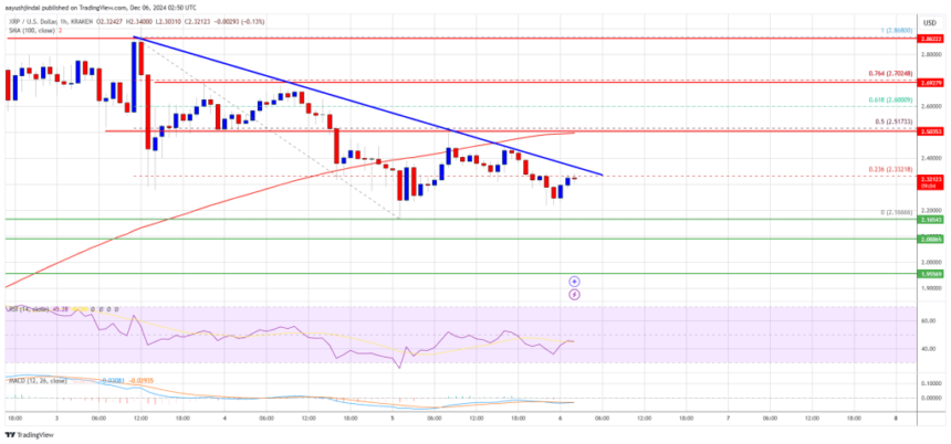 XRP Price Steadies Above Support: Preparing for the Next Move?