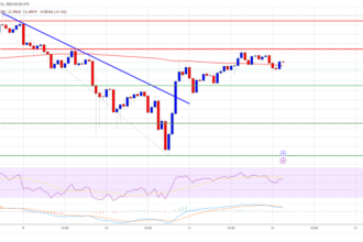 XRP Price Winning Streak: Is More Upside on The Horizon?