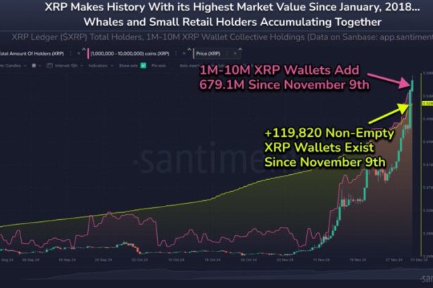 XRP Reaches 6-Year High – Whales And STH Accumulate Together