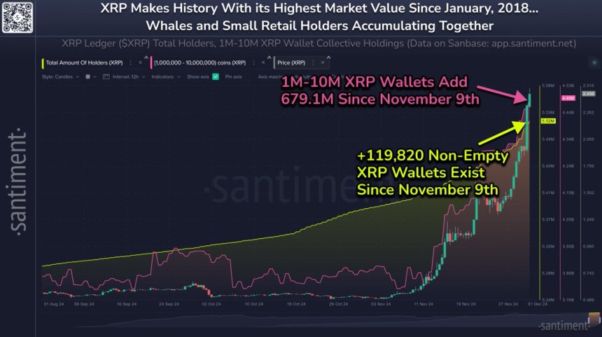 XRP Reaches 6-Year High – Whales And STH Accumulate Together