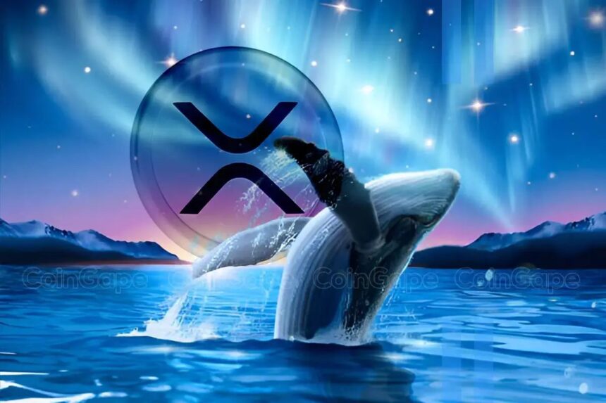 XRP Whales Inflow To Binance Hits 6-Month High, Here’s Its Implication