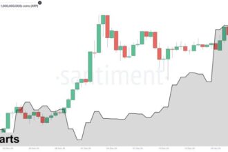 XRP Whales Loading Up – Data Reveals Buying Activity