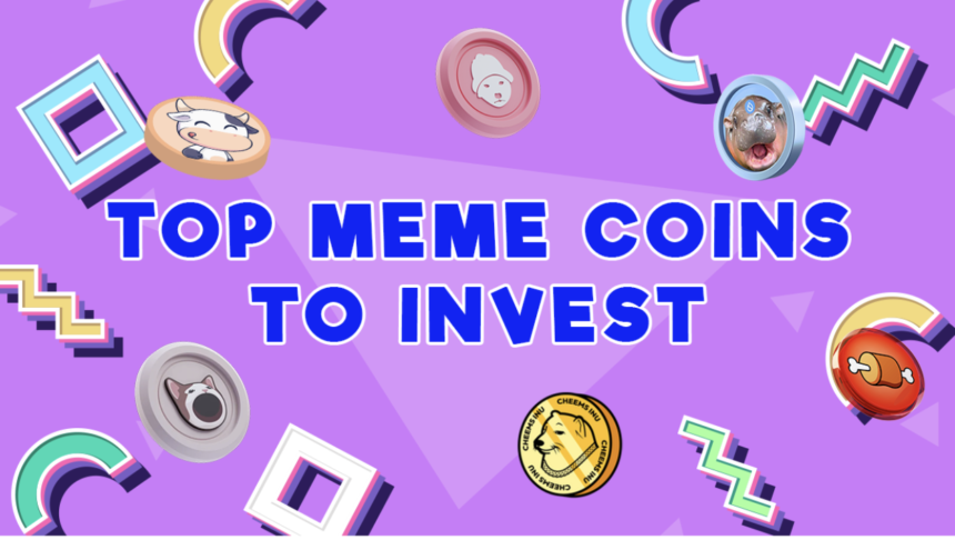 5 Best Meme Coin Presales to Buy and Hold for Significant Returns: Coins Gaining Momentum in the Crypto World