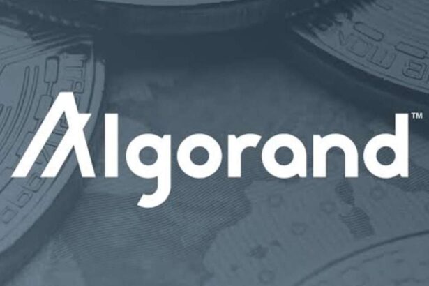 ALGO Price Eyes Breakout as Algorand Unveils Staking Rewards