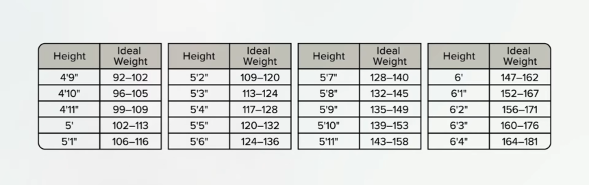 An Ideal Waist Size 