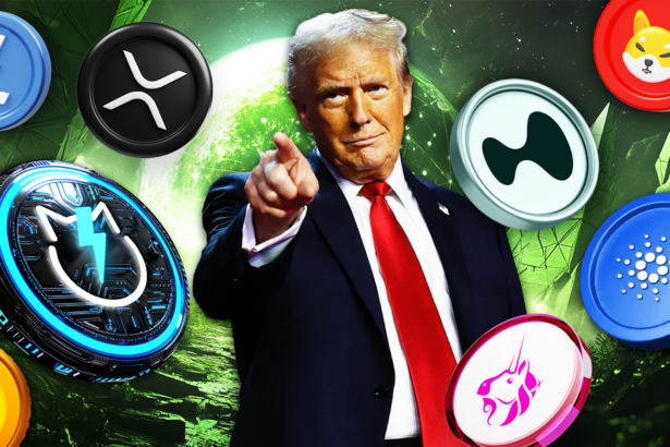 Best Crypto Coins To Buy under President Trump | Top 8 Crypto Coins to Buy Immediately