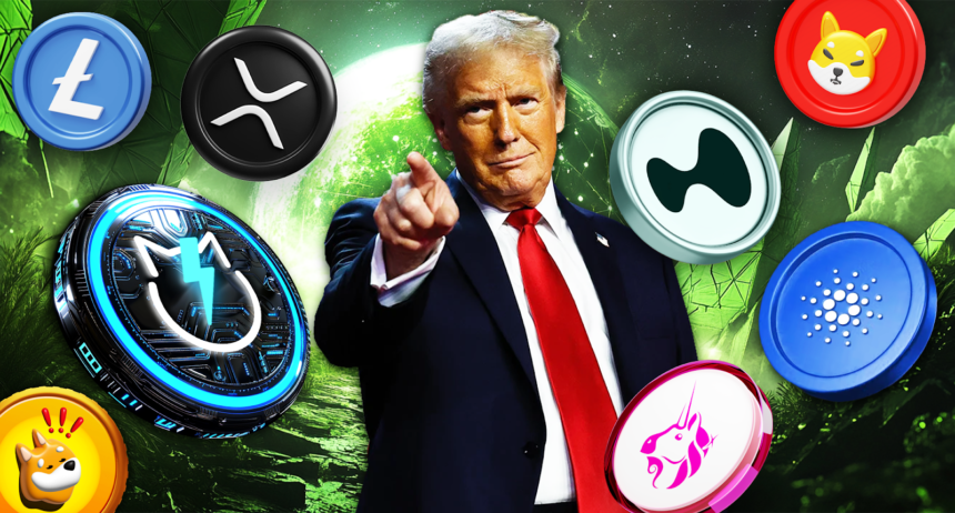 Best Crypto Coins To Buy under President Trump | Top 8 Crypto Coins to Buy Immediately