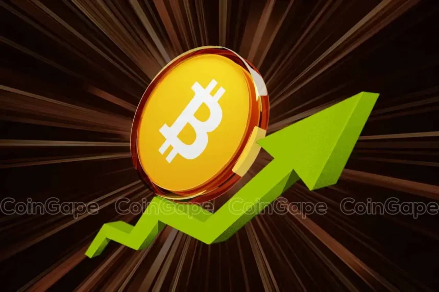 Bitcoin Hits 132K Active Addresses as Price Surpasses $100,000