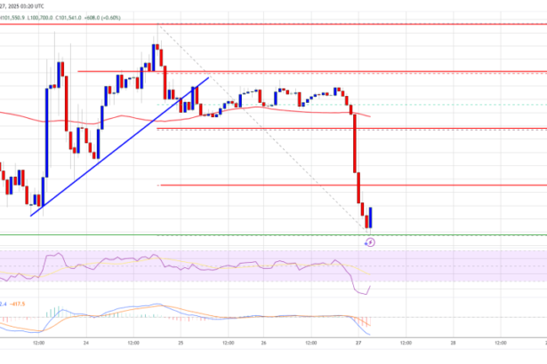 Bitcoin Price Dips But Nears $100K: A Pullback or a Launchpad?