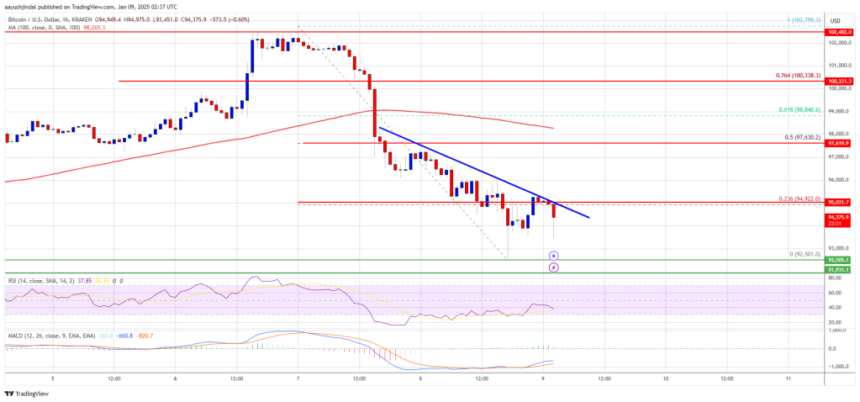 Bitcoin Price Faces Mounting Pressure: Bears Take the Lead