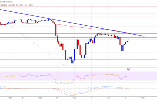 Bitcoin Price Faces Tough Resistance: A Breakout In The Cards?