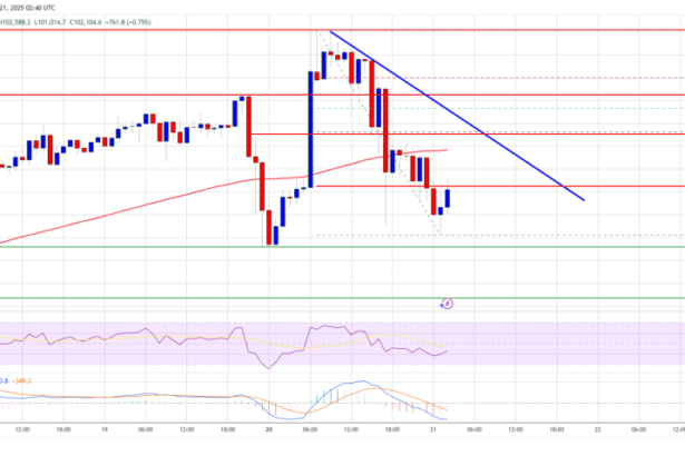 Bitcoin Price Retreats After Fresh ATH: A Pause Before the Next Surge?