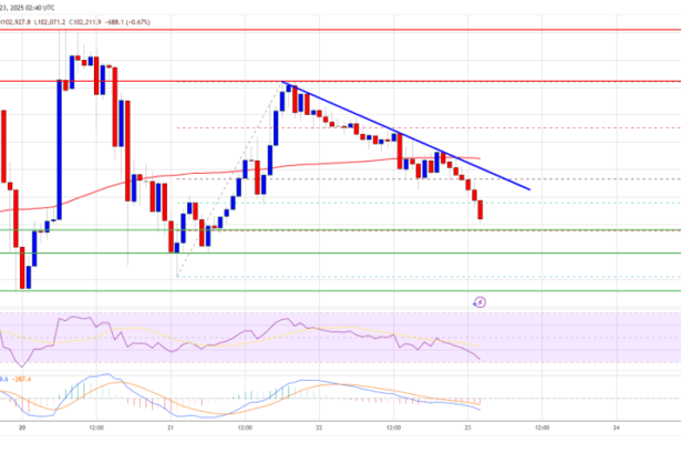 Bitcoin Price Slides Once More: Can Bulls Defend Key Levels?