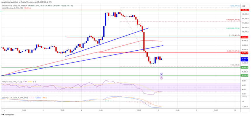 Bitcoin Price Takes a Breather: Gains Reduced Amid Volatility