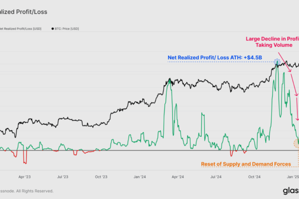 Bitcoin Profit-Taking Drops 93% From December Peak – What’s Next For BTC?