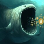 Bitcoin Whales Are Accumulating Again, Is Price Rebound Ahead?