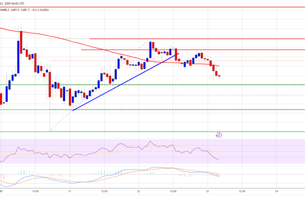 BNB Price Stalls Below $700: Is a Surge Around The Corner?