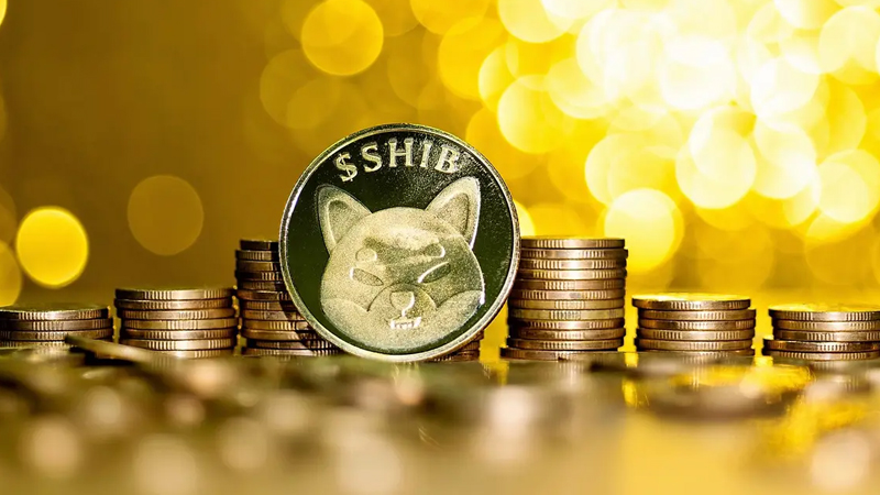 Buy Shiba Inu: A Comprehensive Guide on How to Buy SHIB – Best Exchanges & Brokers