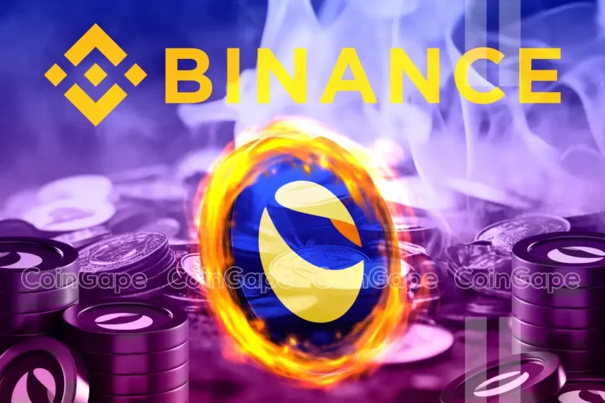 Can Binance LUNC Burn Trigger Massive Terra Luna Classic Price Rally In 2025?