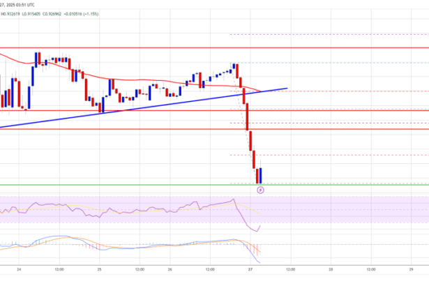 Cardano (ADA) In The Red: Struggles Persist Under $1.00