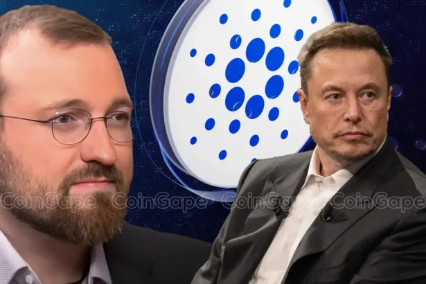 Cardano Price Plummets 8% As Charles Hoskinson Offers to Help Elon Musk’s DOGE