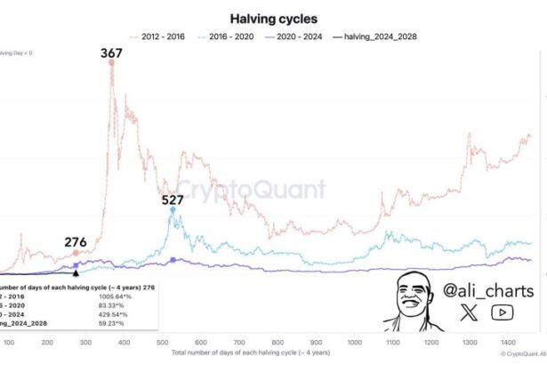 Crypto Experts Forecast Bitcoin Market Peak: Bear Market Could Emerge Within 3 Months