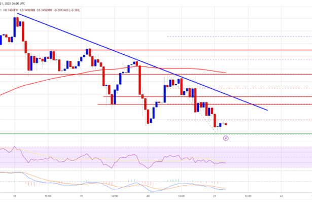 Dogecoin (DOGE) Dips: A Pause Before The Next Meme-Coin Rally?