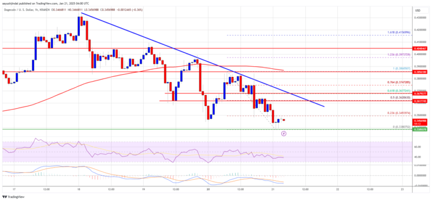 Dogecoin (DOGE) Dips: A Pause Before The Next Meme-Coin Rally?