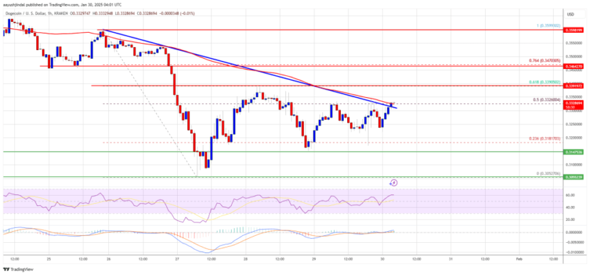 Dogecoin (DOGE) Signals New Upside Move: Can Bulls Take Charge?