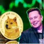 Dogecoin Price May Hit $0.5 As Elon Musk Refutes DOGE Lawsuit Concerns