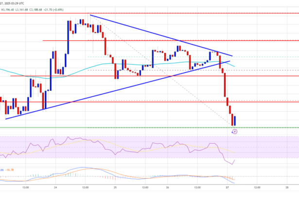 Ethereum Battle Persists: Will It Overcome The Struggles?