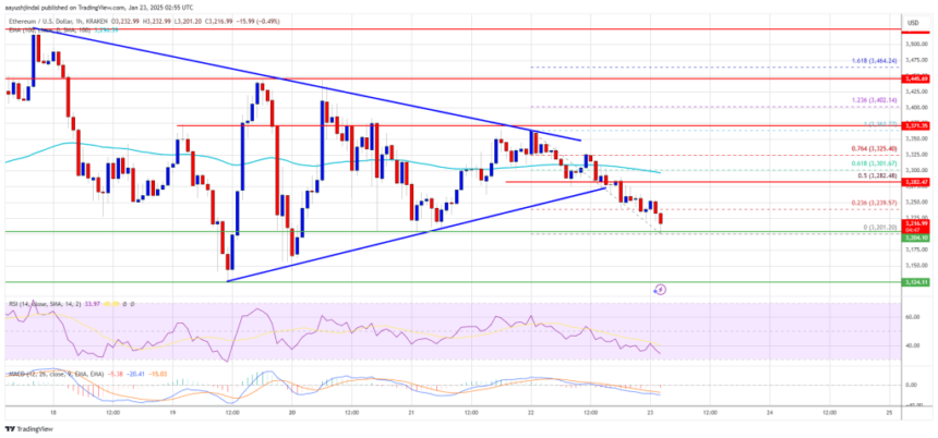 Ethereum Bears Emerge: Is a Deeper Pullback Coming?