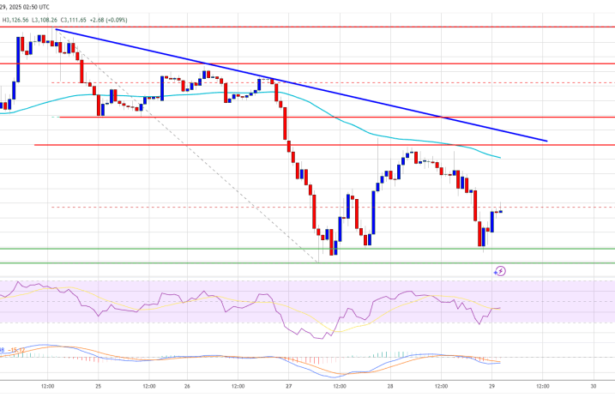 Ethereum Price Battle Persists: Can Bulls Turn It Around?